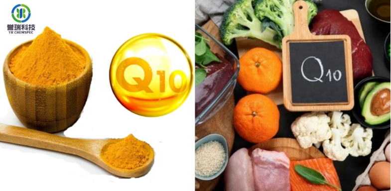 coenzyme q10 6'.jpg