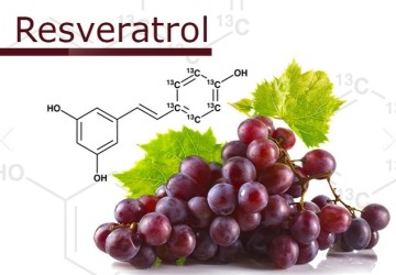 Skin lightening and skin brightening ingredient Resveratrol