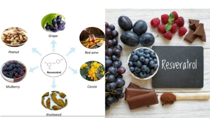 resveratrol 9'.jpg