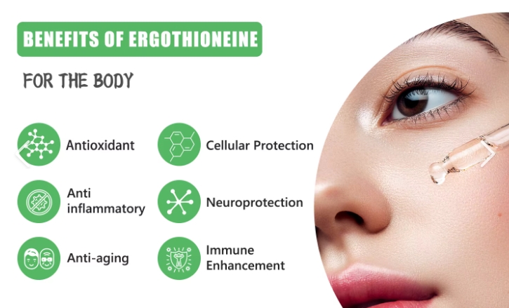 ergothionéine 5.png
