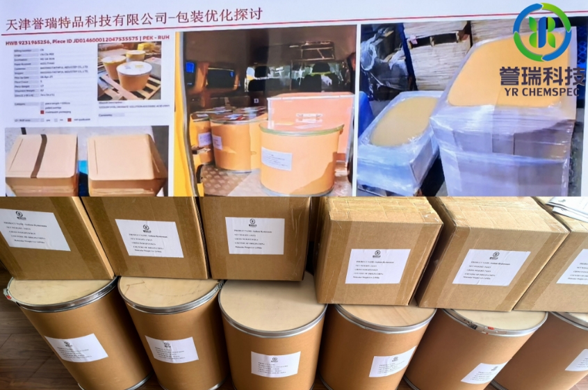 YR Chemspec fortalece su alianza logística con DHL mediante una reunión estratégica y una visita a sus instalaciones