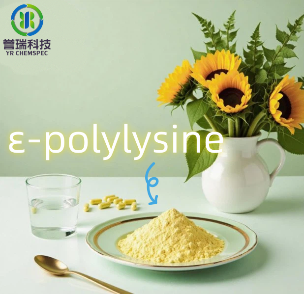 内容插图ε-polylysine--1