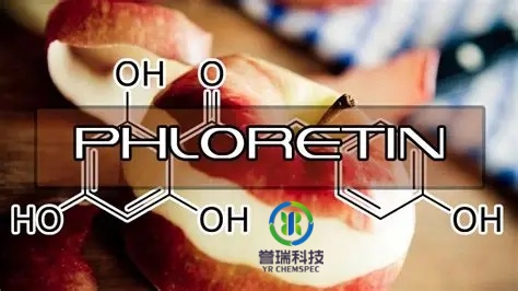 Phlorétine.jpg