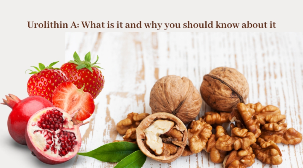 内容插图 Hydroxyethyl Cellulose 1