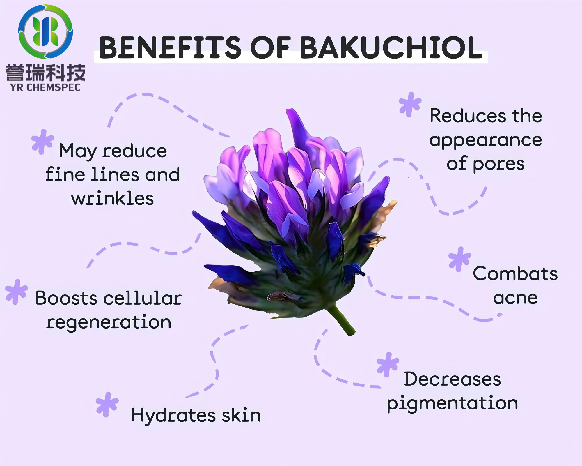 Bakuchiol.png