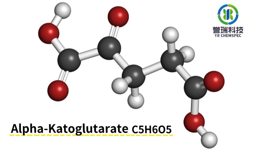 内容插图-Alpha Ketoglutarate 1