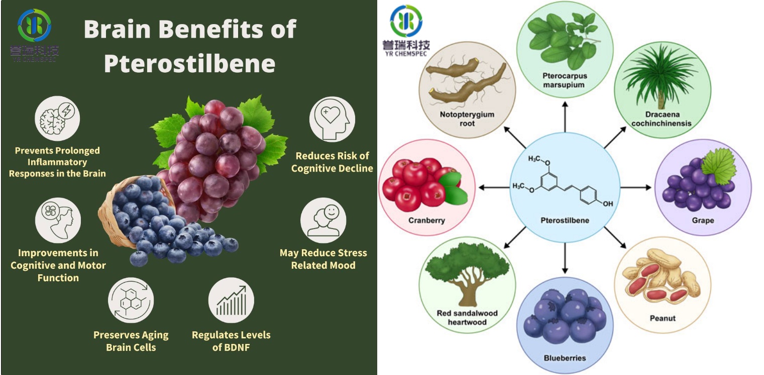 内容插图Pterostilbene-3