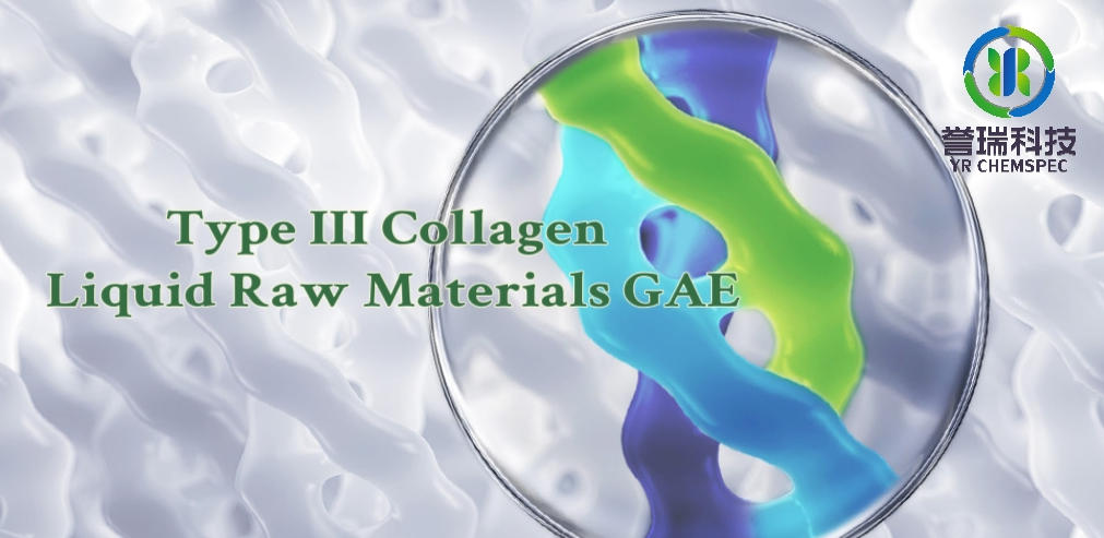 内容插图-Recombinant Type III Collagen Liquid Raw Materials (GAE)-1