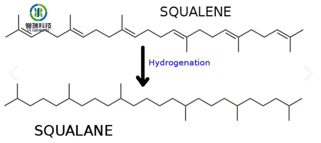 squalane 3.jpg
