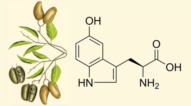 5-Hydroxytryptophan（5-HTP) 1