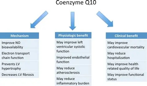 Co-enzym Q10 (3)