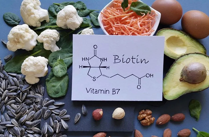 D-Biotin 1