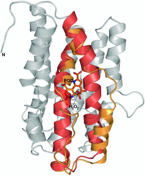 Pirolokuinolin Kuinon 2