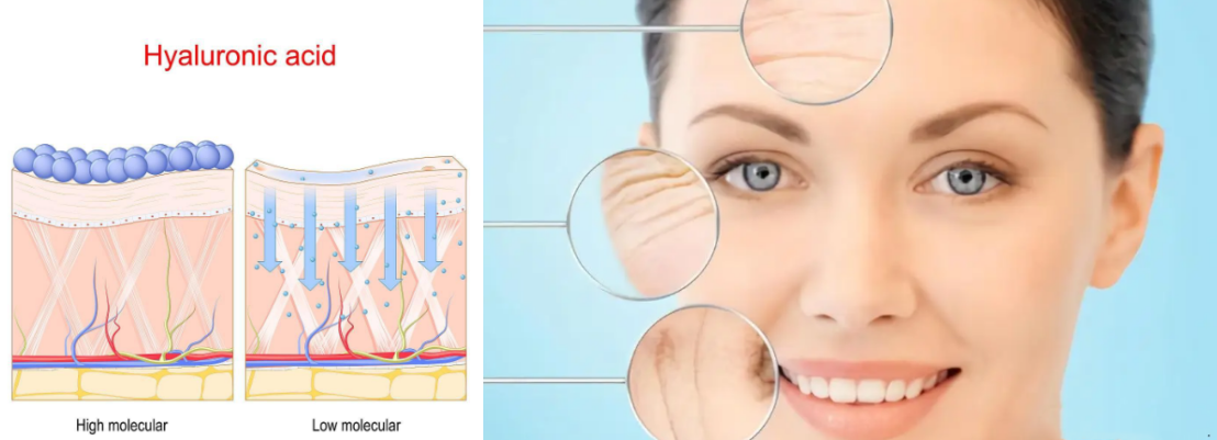 Hyaluronic Acid.png