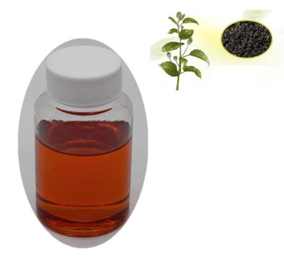 Lear one skin care ingredients per week-Bakuchiol