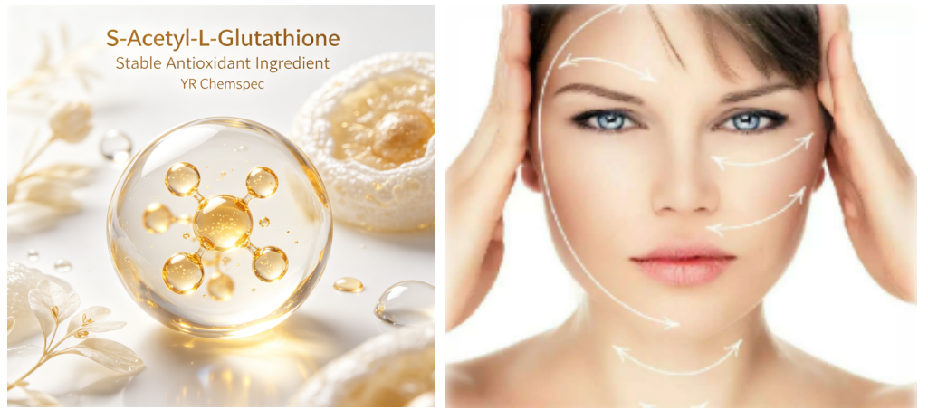S-Acetyl-L-Glutathione Antioxidant.png