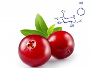 Alpha Arbutin Emerges as Premium High-value Cosmetic Brightening Raw Material