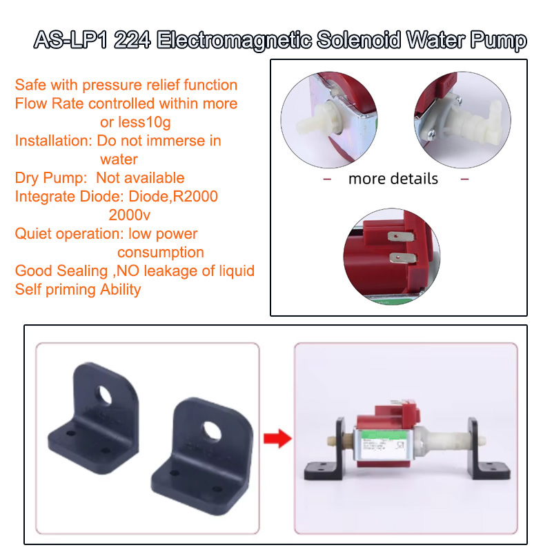 AS-LP 1 Electromagnetic Solenoid Water Pump D 5