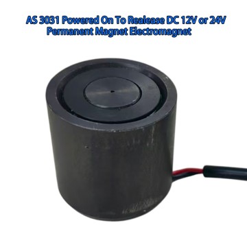 AS 3031 Powered on to release DC 12V or 24V Permanet magnet electrmanget