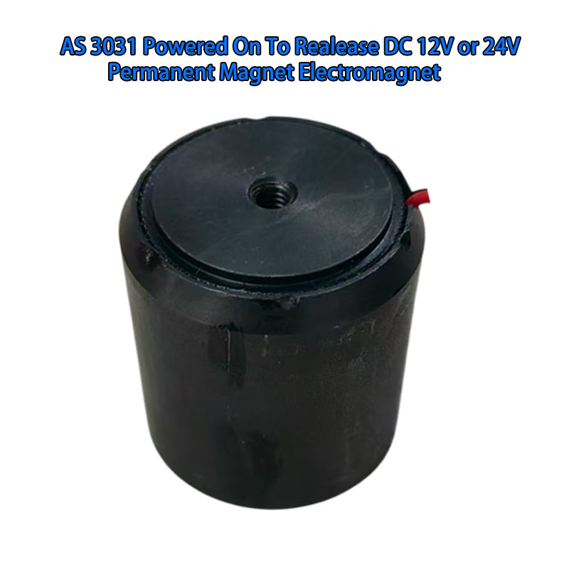 AS 3031 Powered on to release DC 12V or 24V Permanet magnet electrmanget 2.jpg