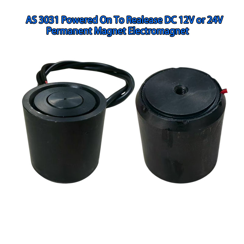 AS 3031 Powered on to release DC 12V or 24V Permanet magnet electrmanget 3.jpg