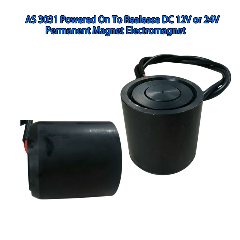 AS 3031 Powered on to release DC 12V or 24V Permanet magnet electrmanget 4.jpg