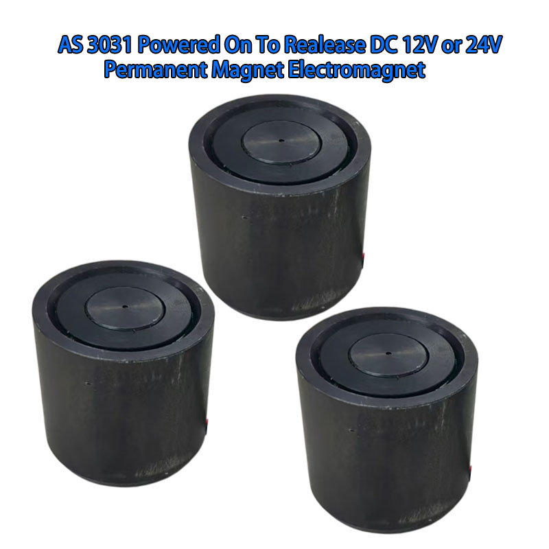 AS 3031 Powered on to release DC 12V or 24V Permanet magnet electrmanget 5.jpg
