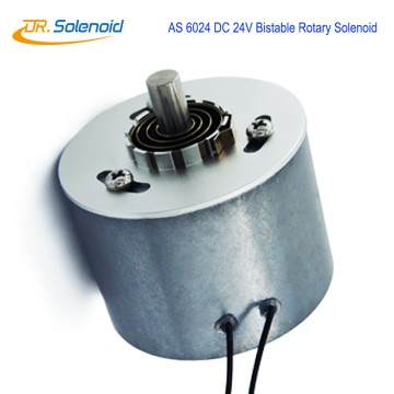 AS-6024 24V DC Rotary Solenoid