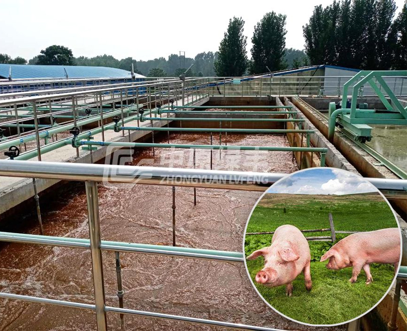 Pig slaughtering wastewater treatment project