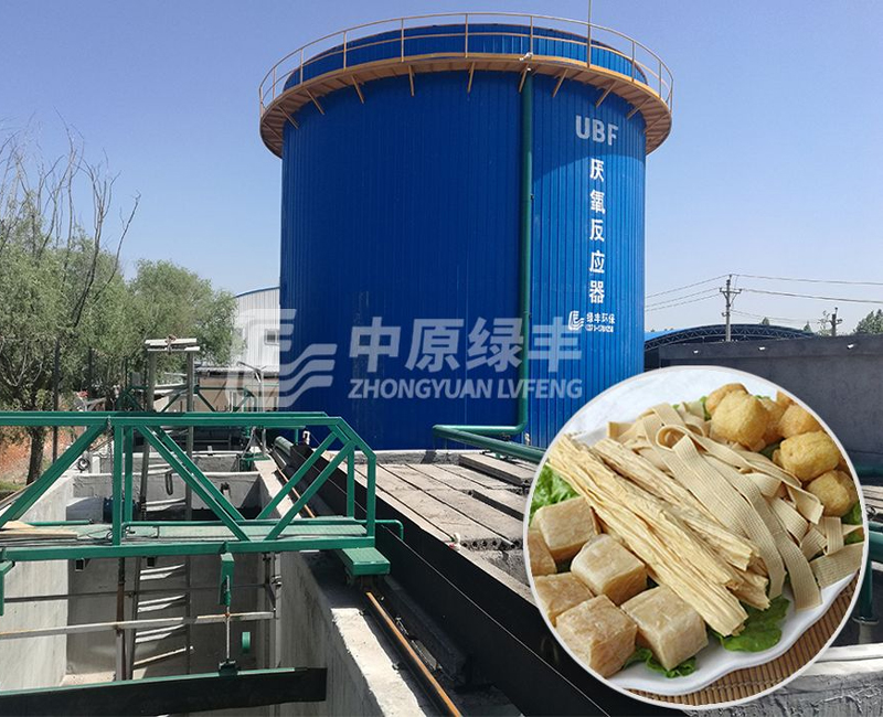 Soy product wastewater treatment project