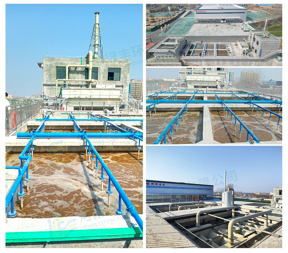 Soybean Wastewater Treatment: A Comprehensive Solution for the Bean Products Industry