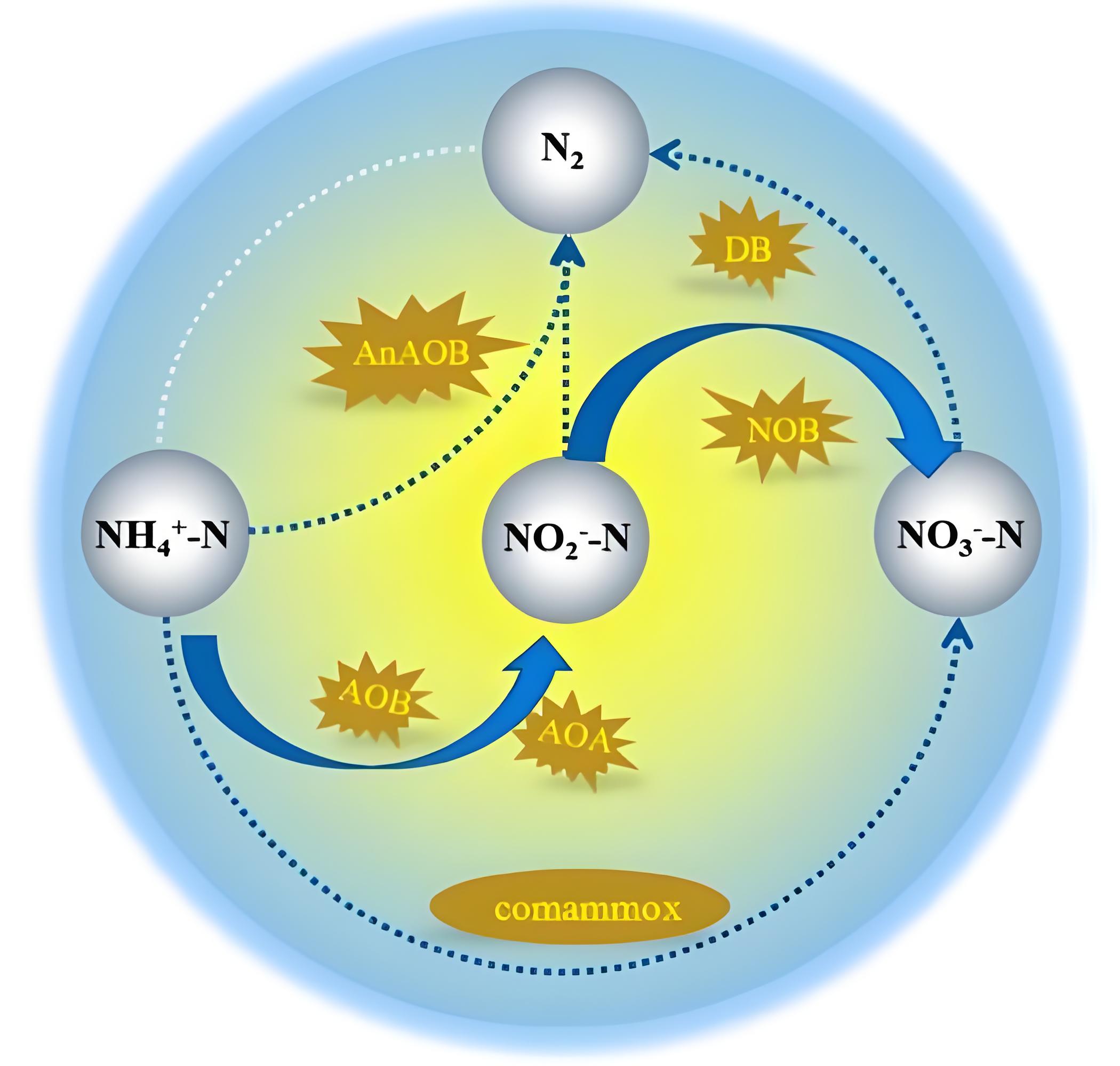 Innovative Solutions for Biological Denitrification in Low Carbon Source Wastewater