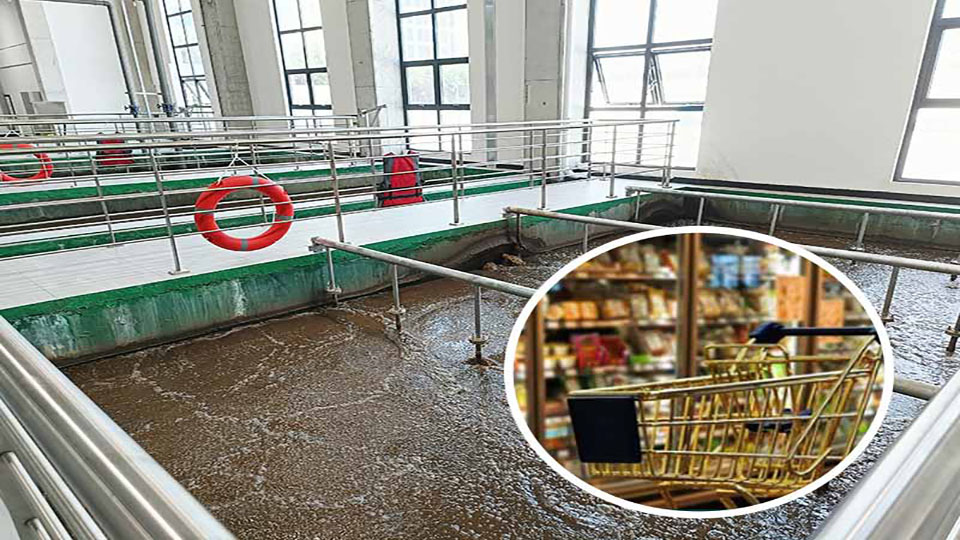 Pengolahan Limbah Komprehensif kanggo Produksi Pangan Supermarket