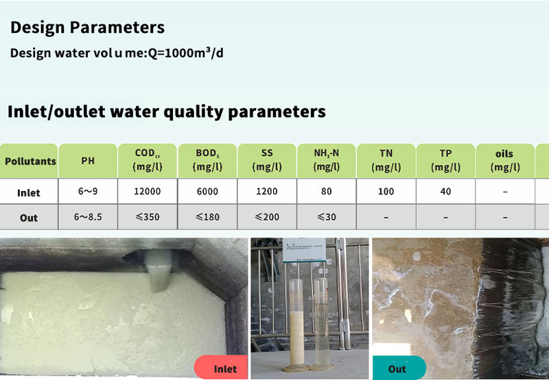 Aceptación de la instalación del proyecto de tratamiento de aguas residuales de productos de soja de 1000 m³/d