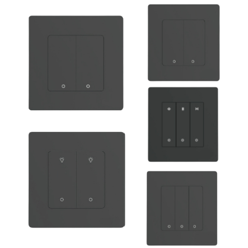Switch