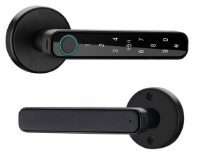 FT01 Dual-mode Smart Lock