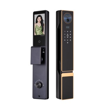 P60 Premium Smart-Türschloss mit Gesichtserkennung, Handvenenerkennung und HD-Display