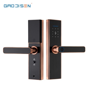 Smart Locks Digital Keypad Electronic Security Door Lock With Smart Card And Fingerprint Bluetooth Wifi Door Locks