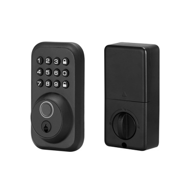 Effortless Security: Unlock with Fingerprint, Key, or Code