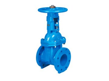 The rising stem gate valve is a critical component