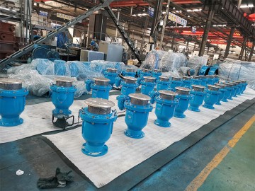 Twt Factory Supply Ggg50 DN200 Pn10  Air Release Valve