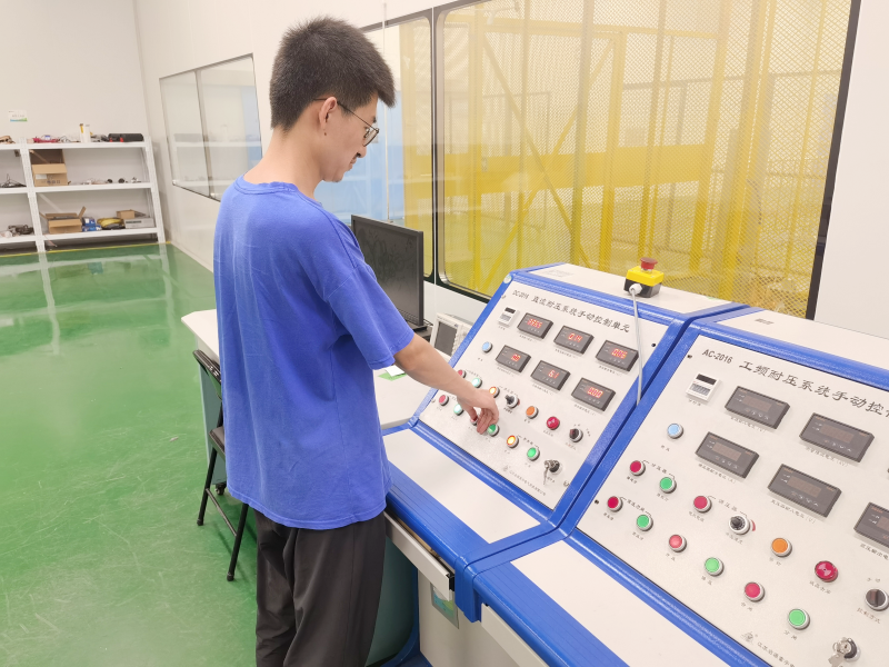 capacitor test process
