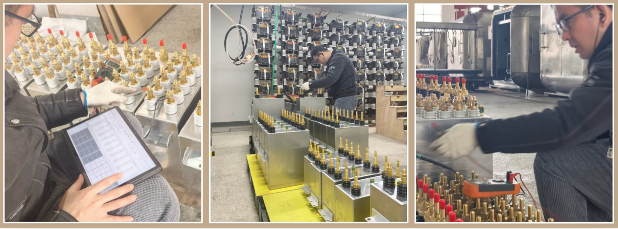 Quality guaranteed resonant capacitor bank
