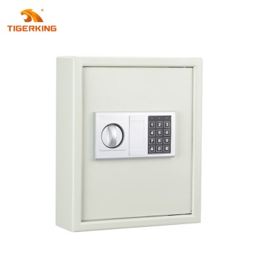 Tigerking Key Lock Box Wall Mount with Deposit Key Slot , Key Cabinet with Combo and Key Lock, Key Safe for Hotels & Office & Companies & Car Dealerships