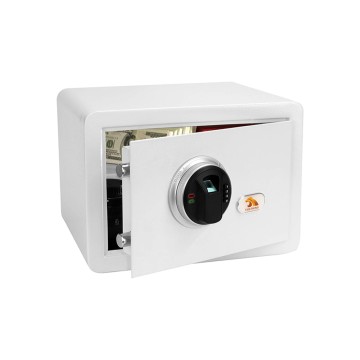 Brand new economy box safe of tigerking