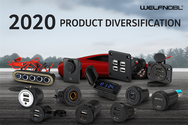 2020年 – 製品の多様化