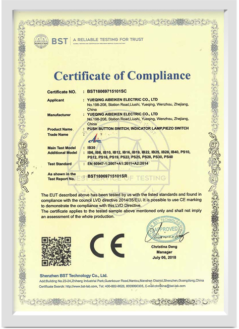 PUSH-BUTTON-SWITCH-CE-2