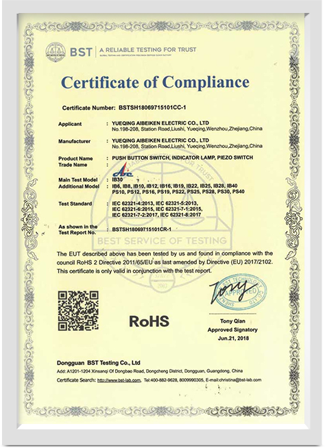 PUSH-BUTTON-SWITCH-CE-3