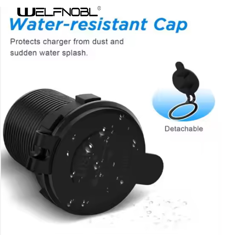 217.DS011L.jpg