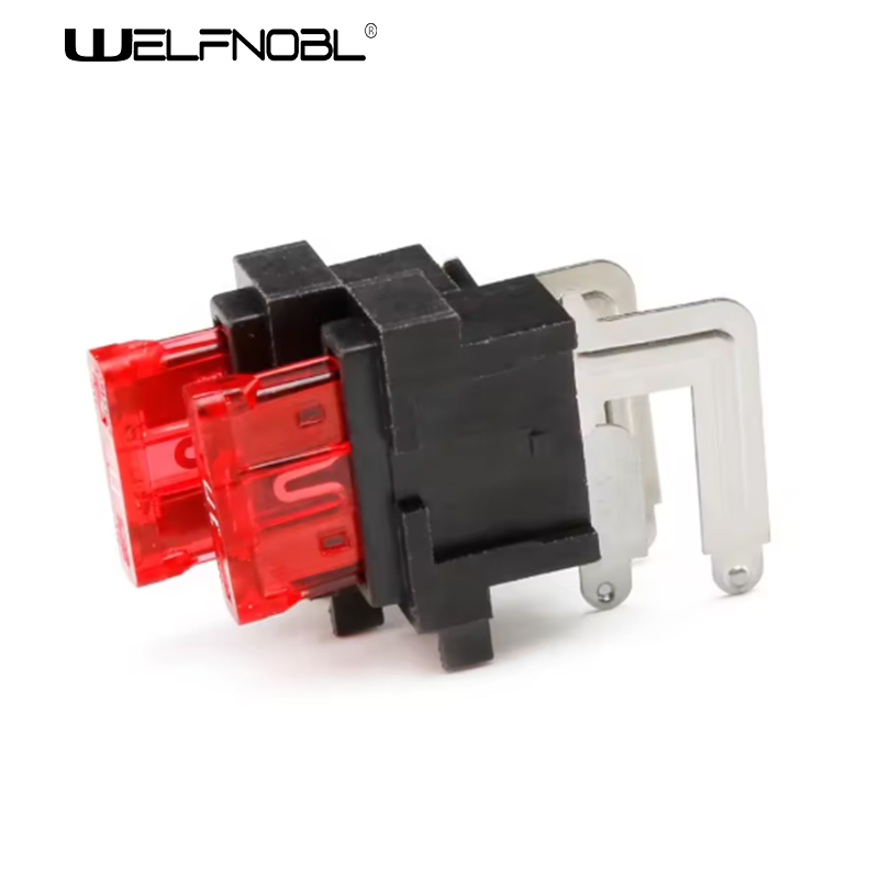 225.WNF-C407-3.jpg